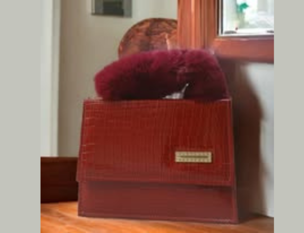 Long Chain Bag Stylish Bag