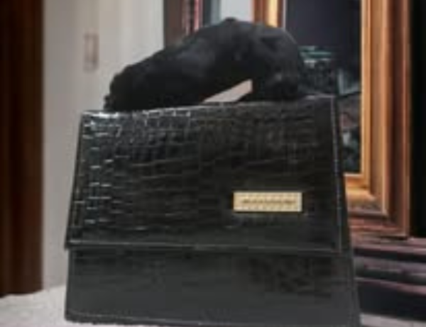 Long Chain Bag PU Leather Cross body Bag - Image 3